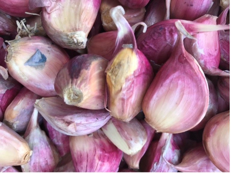 Obraz zawierający warzywo, produkcja, Naturalne jedzenie, warzywo korzenioweOpis wygenerowany automatycznie